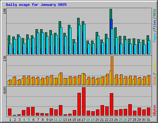 Daily usage for January 2025
