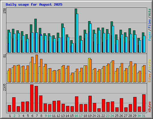 Daily usage for August 2025