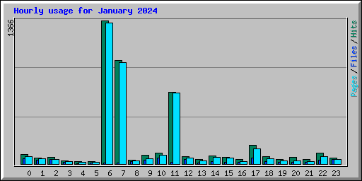 Hourly usage for January 2024