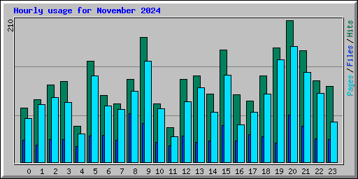 Hourly usage for November 2024