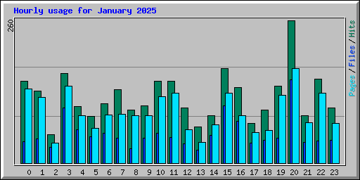 Hourly usage for January 2025