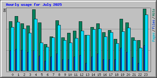 Hourly usage for July 2025