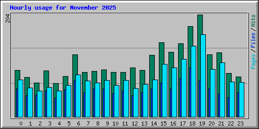 Hourly usage for November 2025