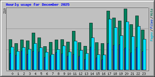 Hourly usage for December 2025