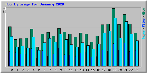 Hourly usage for January 2026