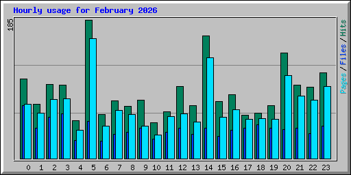 Hourly usage for February 2026