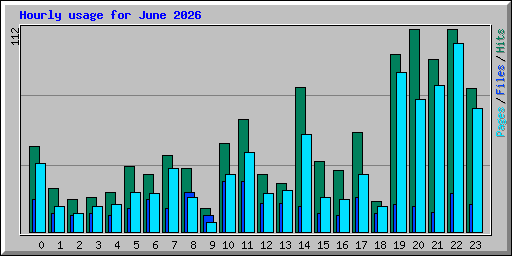Hourly usage for June 2026