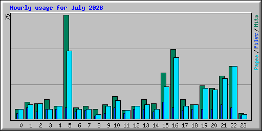 Hourly usage for July 2026